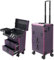 Rolling Makeup Train Case, Make Up Trolley on Wheels Make Up Box, Nail Polish Storage and 2 Drawers