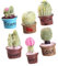 TOYANDONA 6piezas De Suculentas De Realista para Decoración De Jardín y Mini Paisajismo Accesorios para Casa y