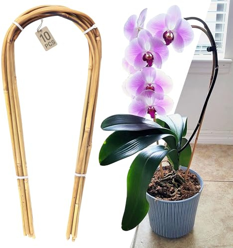 Avalution Lot de 10 treillis en bambou naturel de 40,6 cm pour plantes grimpantes
