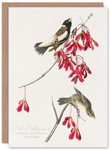 Artery8 John James Audubon Art Card Rice Birds and Maple Tree Flowers