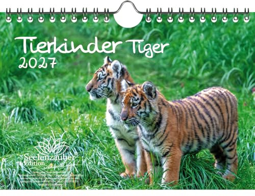 Tierkinder Tiger DIN A5 Kalender für 2027 Tiger - Seelenzauber