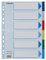 Leitz Esselte Register für A4, Deckblatt und 6 Trennblätter mit Taben, Mehrfarbig, Robuster Kunststoff, 15260