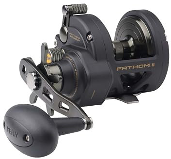 PENN Fathom® II Star Drag Reel, Saltwater Fishing Reel, Conventional Reels, Sea - Nearshore/Offshore Fishing, Shore and Kayak Fishing, Unisex, Black Gold, 25P | Right Hand | 4.8:1