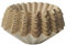 Coffee Filter Papers, 100 Pieces Cup Basket Coffee Filter Papers, Disposable Unbleached Coffee Filter Papers for Home Cafes Restaurants and Offices Use (Brown)