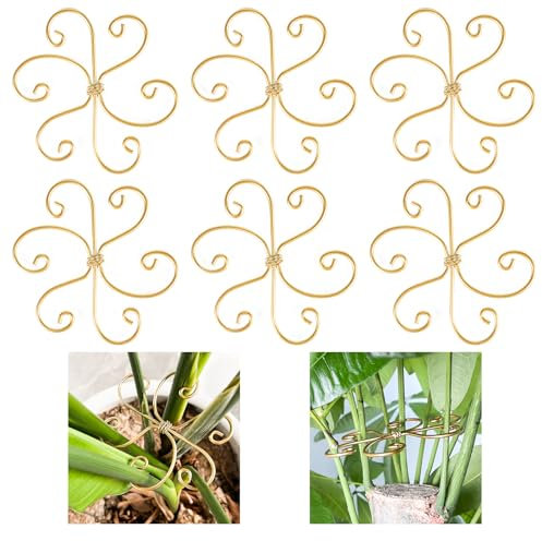 Mewcooss 6 soportes para tallos de plantas, soporte para plantas Monstera de hierro, soporte para tallo de plantas, diseño único, juego de abrazaderas de bambú para crecimiento de plantas trepadoras