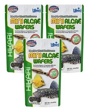 Hikari Mini Algae Wafers 85g *Pack of Three* - BUNDLE