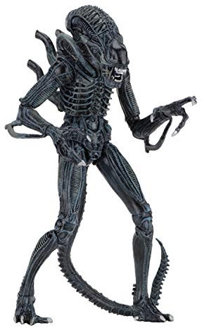 NECA Alien Blue Ultimate Warrior 1986 23cm Scale Action Figure Aliens, Color (NEC0NC51647
