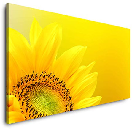 Sonnenblume Nahaufnahme 120x 60cm Panorama Leinwand Bild XXL Format Wandbilder Wohnzimmer Wohnung Deko Kunstdrucke