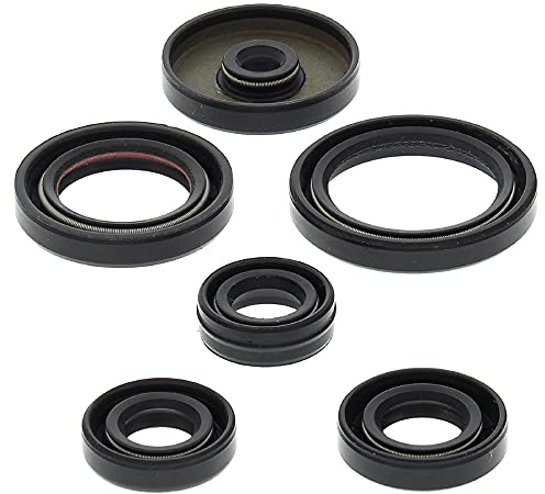 Winderosa 822229 Motordichtungssatz