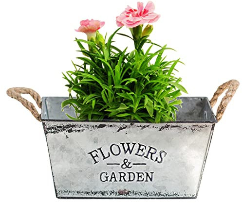 Rosixehird Maceta de metal vintage jarrón shabby chic vintage maceta decorativa con mango cubo decorativo para plantas, decoración, almacenamiento