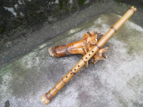 Nan Xiao Flöte Professionelles Blasinstrument