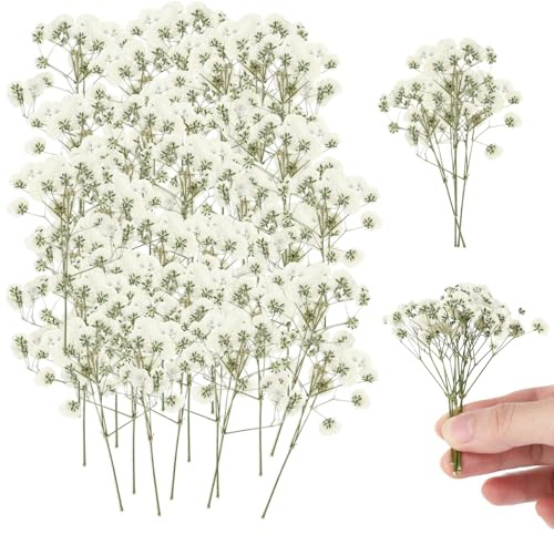 150 Stück Schleierkraut Getrocknet, Getrocknete Blumen Klein, Trockenblumen Zum Basteln, Trockenblumen Weiß für DIY Fotorahmen, Lesezeichen, Grußkarten, DIY Kerze, Harz Schmuck