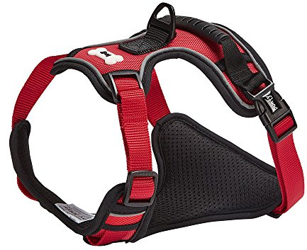 Bunty Adjustable Dog Harness, Adventure - Anti Pull Dog Harness with Reflective Piping and Rubber Handle, Heavy Duty Harness, Machine Washable Polyester Fabric (Red, XL)