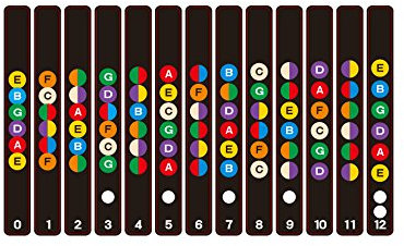 Dizie Gitarren Noten Aufkleber für das Griffbrett Kinderleicht Akkorde und Noten lernen Ideal für Akustikgitarre E-Gitarre Westerngitarre und Ukulele