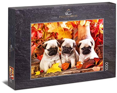 Ulmer Puzzleschmiede - Puzzle „Welpen-Glück“ - Klassisches 1000 Teile Tier-Puzzle – Puzzlemotiv dreier süßer Mops Hunde-Welpen - EIN Tierbaby-Puzzle für Hundefreunde