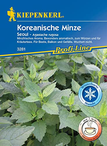 Kiepenkerl 3281 Koreanische Minze Seoul (mehrjährig), in der ganzen Vegetationszeit im Freiland und unter Glas Minzeblätter ernten, Aroma angenehm frisch