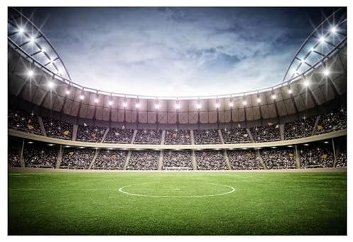 Scenolia Papier Peint intissé Stade DE Foot 400 x 270 cm (LxH) - Tapisserie Murale panoramique XXL, Made in France