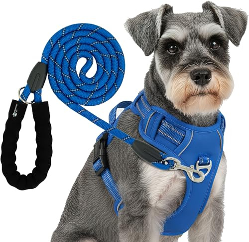 Reichstadt Pets Hundegeschirr mit Leine Set 25RSP083-4 Blue L