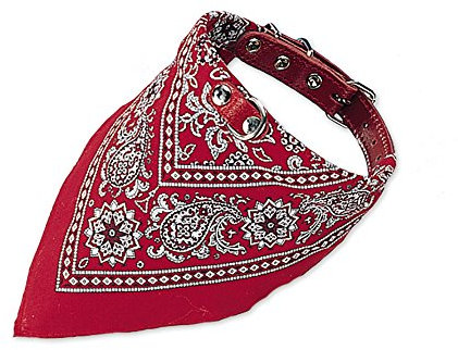 Nobby Halsband mit Tuch, rot L: 70 cm, 1 Stück