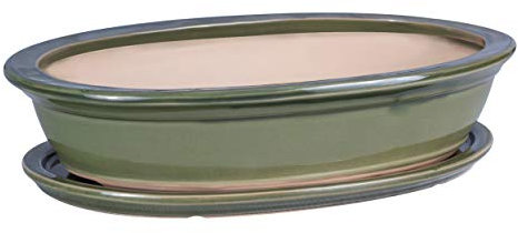 botle Mini Pot de Fleurs en céramique pour bonsaï - Vert - Taille : 40