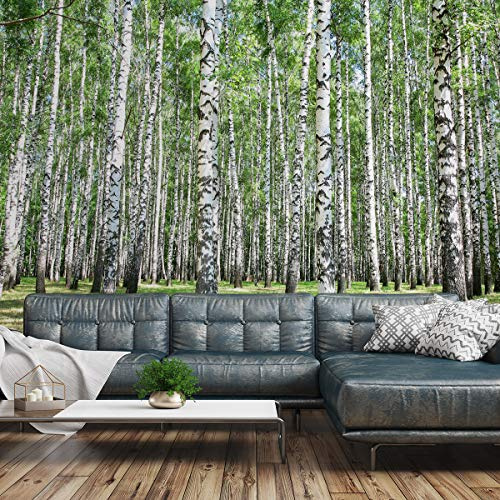 Muralo Tapete Vinyl Wald, Birken, Stämme, Himmel, XXL - 416x254 cm