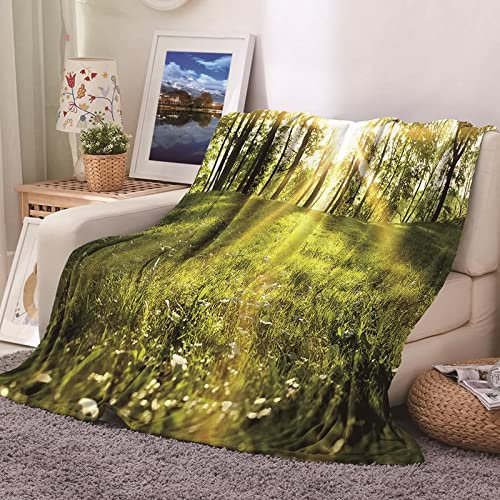 Daesar Wohndecke Warm 130X150, Kuscheldecke Flauschig Bäume und Grünland Aufdruck Decke Flanell Fleecedecke für Couch