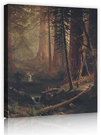Albert Bierstadt Oil Paintings Giant Redwood Trees of California Paintings on Canvas Framed Wall Art for Aesthetic Room Decor 39x30cm Innerframe