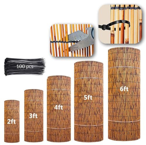 HRXQ Natürlicher Schilfrohrmatte Sichtschutz Garten 60×500cm 100×300cm 130×500cm Outdoor Bambus Sichtschutz Sichtschutzmatte Für Hinterhof Garten Zaun Trennwand (Size : 160x300cm)