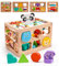 Holzspielzeug Formsortier ab 1 Jahr, Sortierspiel Montessori Steckwürfel, Spielzeug Lernspiele Kinderblöcke, mit 12 Steckbausteinen und Perlen zählen, Steckspiel Holz Geschenk für Kinder ab 1 2 3 Jahr