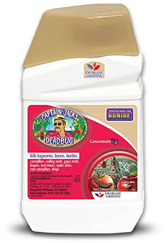 Bonide Captain Jack's Deadbug Brew, 16 oz Concentrate Outdoor Insecticide and Mite Killer for Organic Gardening