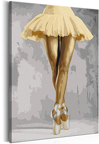 murando - Peinture par Numéros Adulte DIY 40x50 cm - Avec Cadre, Peintures Acryliques et Pinceaux - Tableau à Faire Soi-Même Loisir Créatif - Danseuse ballerine n-A-1040-d-a
