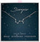ALoveSoul 925 Sterling Silver Constellation Horoscope Zodiac Scorpio Necklace, Gift for Women Girls