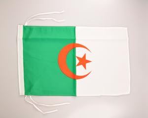 Algerien Fahne Flagge 30x45 cm