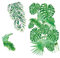 SEWOART 2pièces Autocollants Muraux Végétation Tropicale Décorations Murales Autocollantes Vertes Stickers De Fond Pour Salon