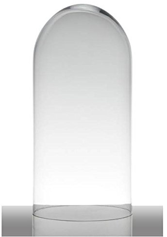 Hakbijl Glashaube, Abdeckung Cover Hugo H. 40cm D. 19cm transparent