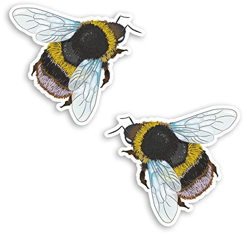 2 x 10 cm Hummel-Insekten Vinyl-Aufkleber – Science Nature Laptop Aufkleber #34609 (10 cm breit)