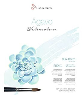 Hahnemuhle Agave Fibre 290gsm Watercolour Block - 30 x 40cm, 12 Sheets, NOT Surface