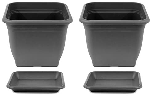 HAC24 Pflanztopf 28 x 28 cm Kunststoff incl. Untersetzer Eckig Anthrazit Pflanzkübel Pflanzuntersetzer Blumentopf Blumenkübel Pflanzcontainer (2)