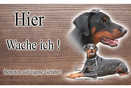 Warnschild Hund oder Warnzeichen Dobermann 30 cm