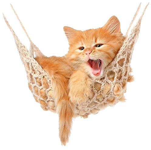 GRAZDesign Wandtattoo Baby Katze, Babykatzen auf Hängematte, Kinderzimmer Wandaufkleber / 41x40cm