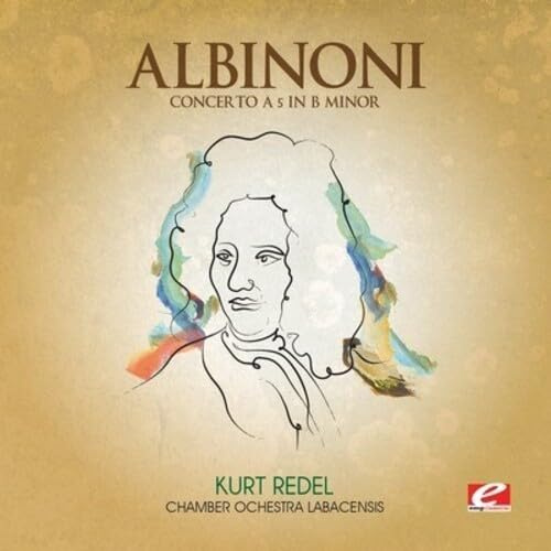 Concerto 5 B minor