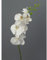 creativ home Kunstblume, PHALENOPSIS 86 cm. Orchidee, Orchideentrieb in WEISS-40