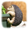 ProdBuy Home Plant Pot Hanging Garden Ornament (Brown Hedgehog)