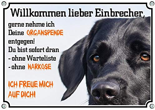 Hundeschild Labrador Retriever - Warnschild Organspende - wetterfest FUNSCHILD, DIN A4