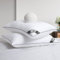 BedStory Nouvelle Collection - Oreiller 65x65 Lot de 2, Oreiller de Hotel Gris Passepoilé Luxe Design, Oreiller de Confort Rempli par Microfibre de Haute Qualité Assure Votre Sommeil