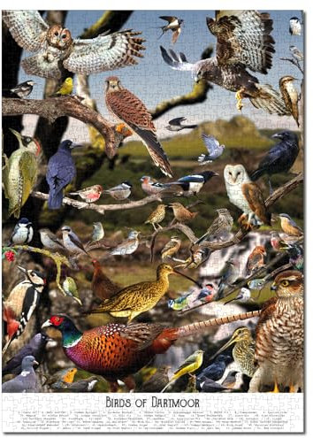 1000 Piece Bird Jigsaw Puzzle for Adults | Dartmoor National Park Nature Puzzle | Wildlife & Devon Gift | Art Collage-Inspired Birds Puzzle for Nature Lovers |1000 Piece Jigsaw Puzzle