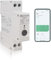 KETOTEK Intelligente Contatore Energia Elettrica Monofase, Misuratore Consumo Elettrico, Funzione di interruttore temporale, Contatore di Corrente con Tuya/Smart life App