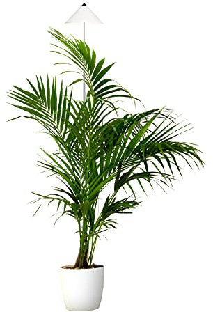 Parus by Venso SUNLiTE piantana XL 25W bianca, lampada a LED per la crescita con asta telescopica, luce per la crescita per piante da interno e piante verdi