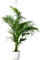 Parus by Venso SUNLiTE XL LED Vollspektrum Pflanzenlampe Weiß 25W Indoor Plants Pflanzen Beleuchtung, mit ausziehbarem Teleskopstab, Parus Pflanzenlampe für große und kleine Zimmerpflanzen