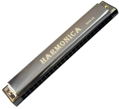 mundharmonika set Professionelle 24-Loch-Mundharmonika Zweireihig, C-Tasten-Mundharmonika Anfänger-Tremolo-Mundharmonika Jazz-Folk-Mundharmonikas Geschenk(Silver)